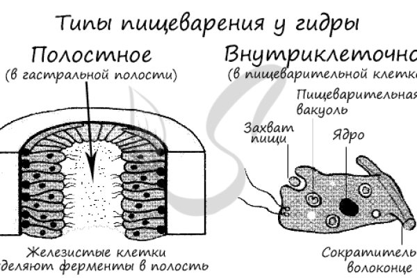 Кракен с айфона