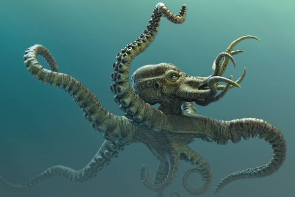 Kraken смылка