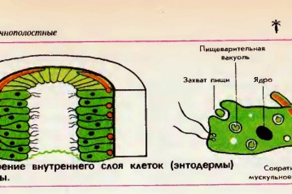 Сайты где купить наркотики